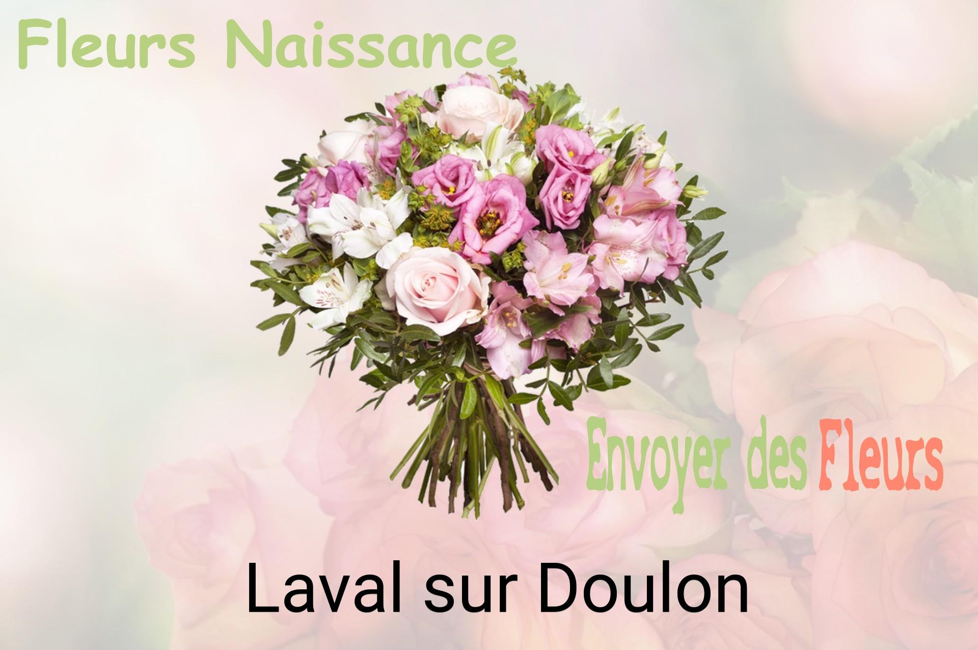 Bouquet de fleurs de naissance livré à Laval-sur-Doulon